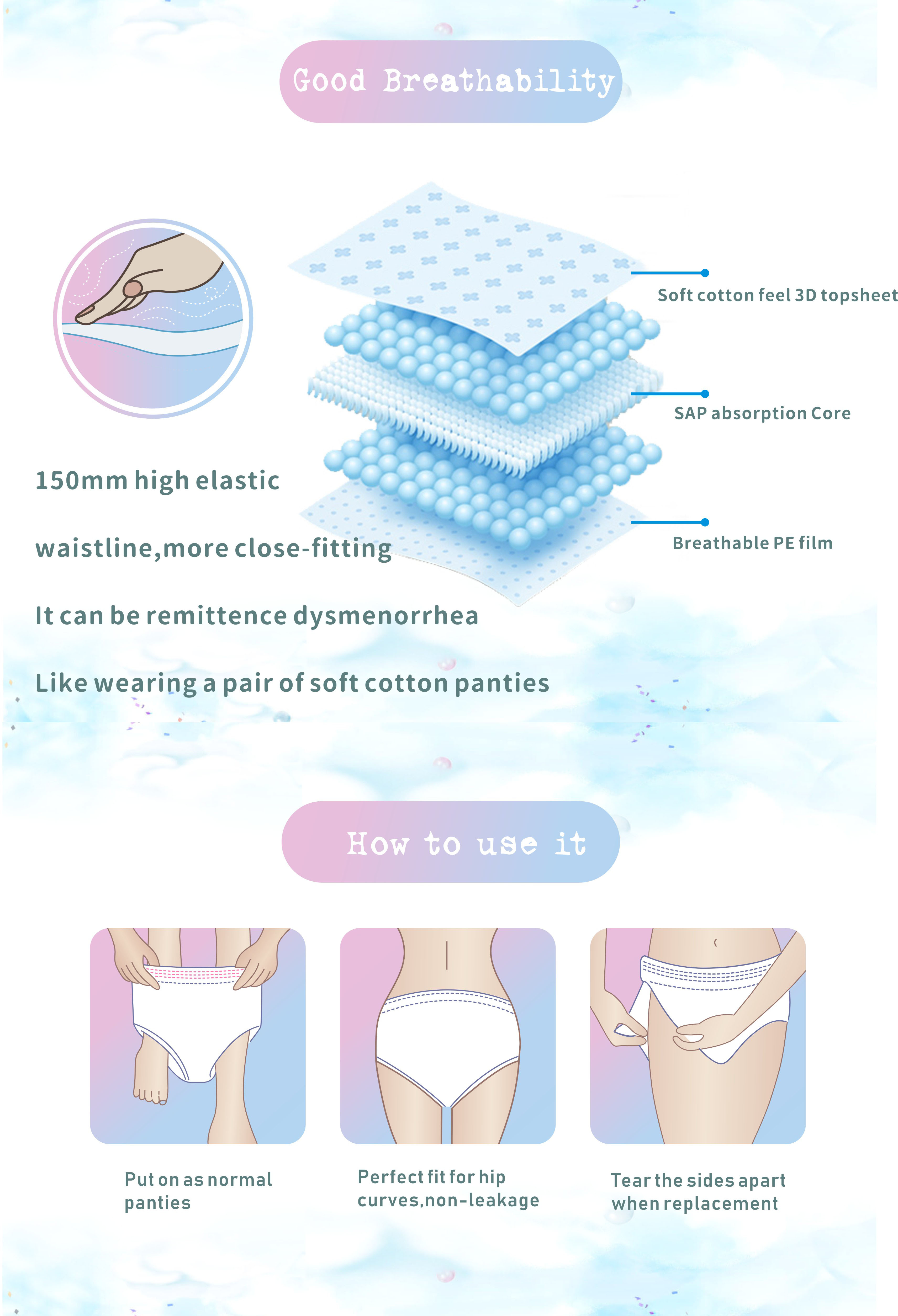 Menstrual period  Underwear Sanitary Napkin